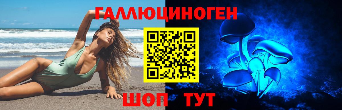 Новоалтайск  Псилоцибиновые грибы Psilocybe  Вход с VPN 